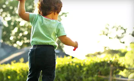 30- or 60-Minute Photo-Shoot Package from Green Toes Photography (Up to 74% Off) - Primary Image