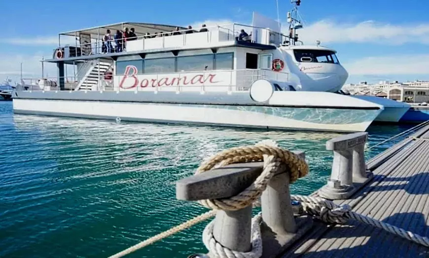 Image 1: Crucero en catamarán con cena y copa de cava para adulto o niño
