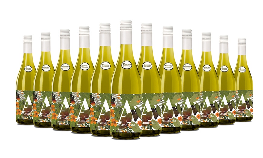 Image 1: 12 Bottles Frizzante Moscato