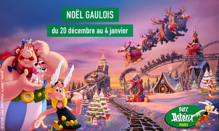 1 entrée adulte ou enfant au Parc Astérix valable du 20 décembre 2025 au 04 janvier 2026 - Parc Asterix