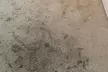 Carpet Cleaning for 3 or 5 Rooms or Upholstery Cleaning for One Sofa, Love Seat, or Chair ( Up to 42% Off ) - Second Medium