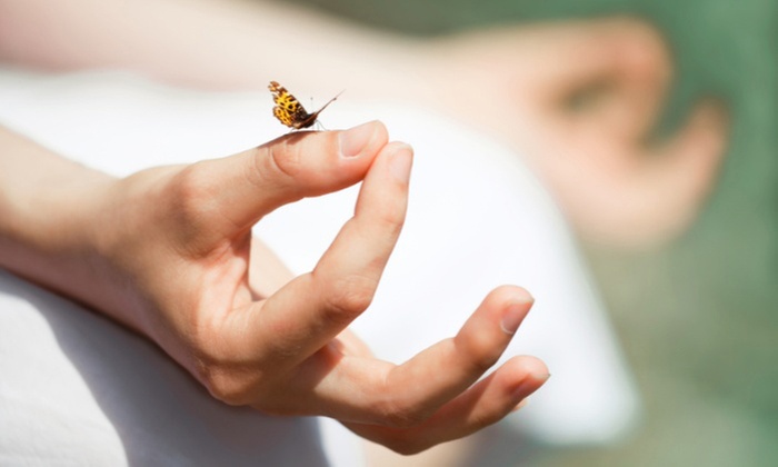 Elevate Your Wellness with One or Three Private Recalibration Resets