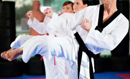 One Month of Unlimited Martial-Arts Classes or Birthday Party for Up to 25 Kids at National Martial Arts (Up to 67% Off) - Primary Image