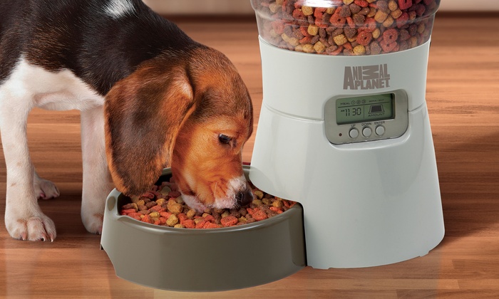 Animal Planet Automatic Pet Feeder Groupon