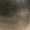 Image 4: Buzz or Scissor & Clipper Cut for Adults – Clean, Easy Style