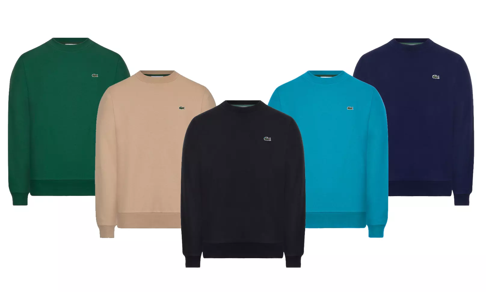 Felpa girocollo con logo Lacoste in pile di cotone