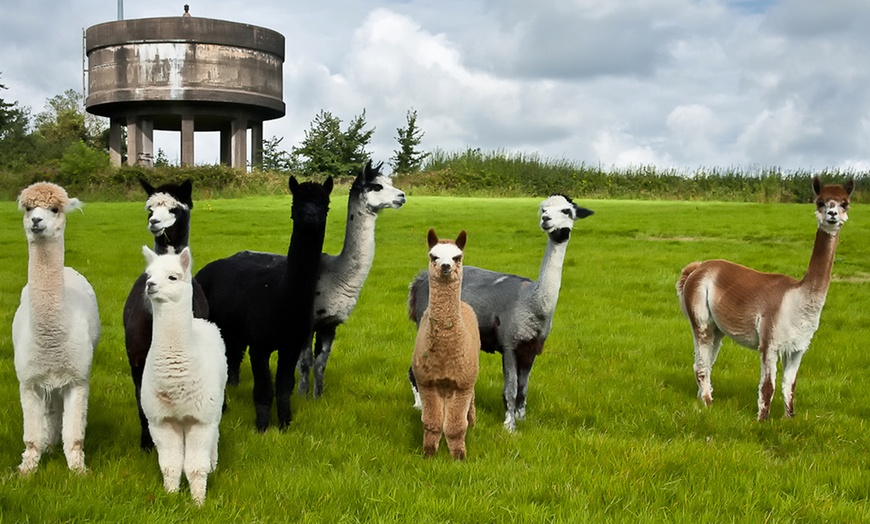 Image 1: Chew Valley Country Farm