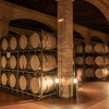 Image 4: Visita guiada a bodega con cata de 4 vinos, 2 AOVE y embutidos