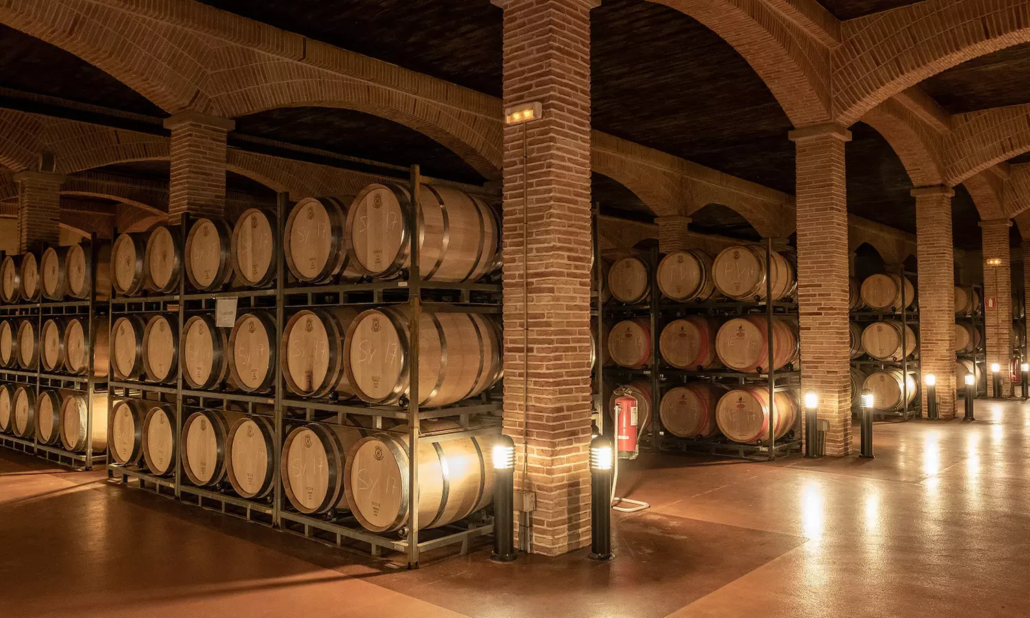 Visita guiada a bodega con cata de 4 vinos, 2 AOVE y embutidos