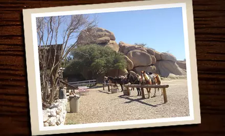 Horseback Ride for One or Two at Triangle T Guest Ranch in Dragoon - Primary Image