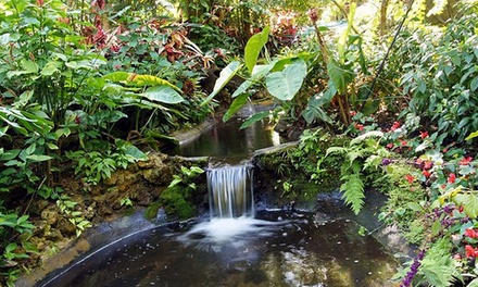 Sunken Gardens - Up To 50% Off - Saint Petersburg, FL | Groupon