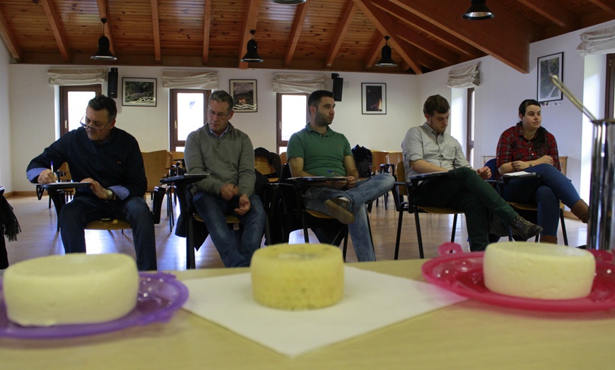 Image 6: Curso de elaboración artesanal de quesos y productos lácteos