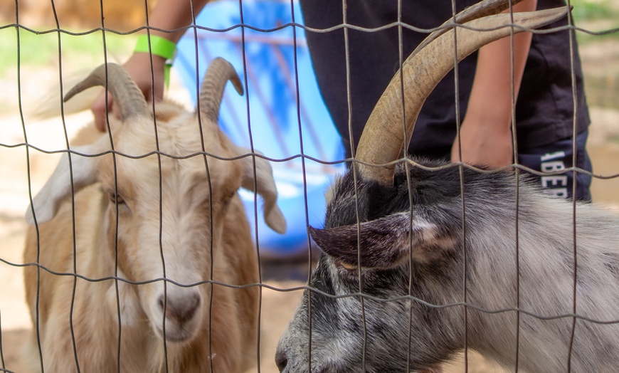 Image 6: Big Rivers Waterpark & Adventures Invites for November Fun 