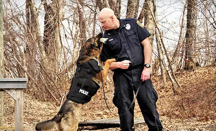 $10 for $20 Donation to Help Fund Bulletproof Vests for Police Dogs - Second Medium