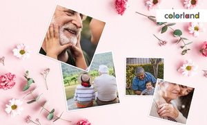 Odbitki zdjęć: nawet 300 sztuk na Colorland.pl Odbitki zdjęć: nawet 300 sztuk na Colorland.pl