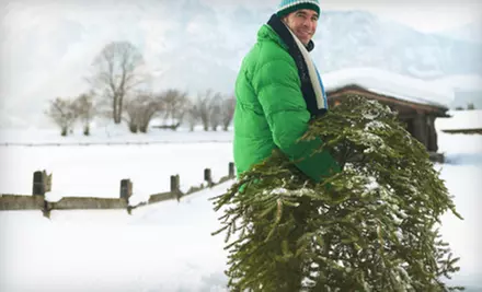 $59 for Hand-Delivered Fraser Fir Christmas Tree from Five Star Holiday Decor ($159 Value) - Primary Image