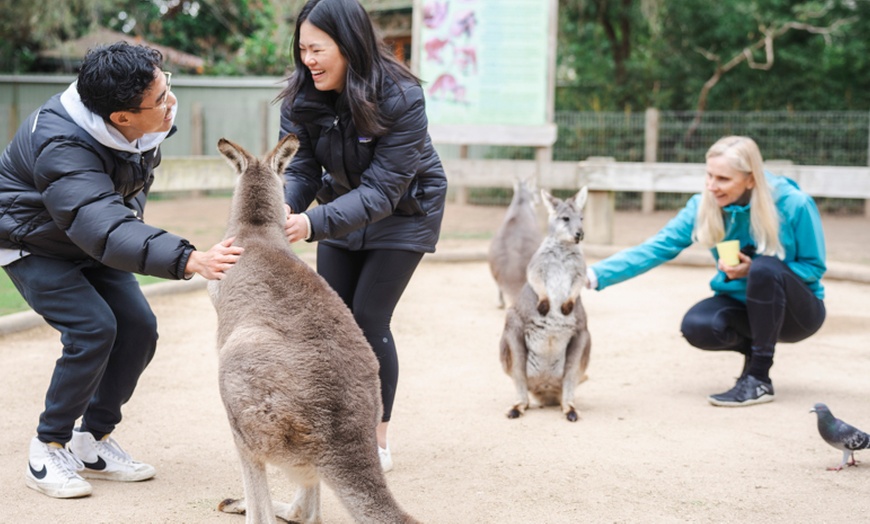 Image 4: Blue Mountains or Hunter Valley Tour: Wildlife, Wine & Scenic Wonders!