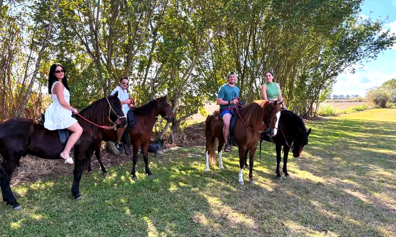 Horseback Riding in Miami's Countryside – Scenic Trails