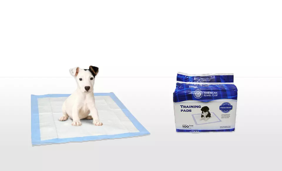 100-Pack of American Kennel Club Puppy-Training Pads. Free Returns. - Primary Image