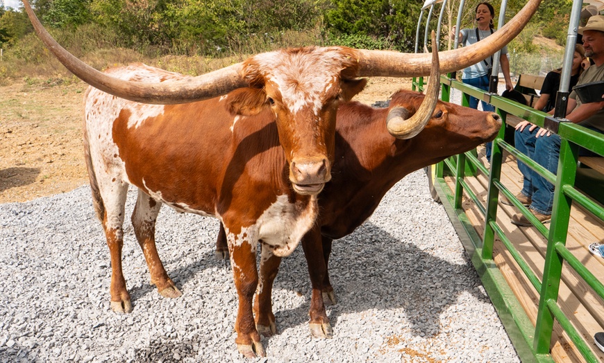 Image 1: Admission Tickets to Safari Tractor Hayride on 100-Acre Farm! 