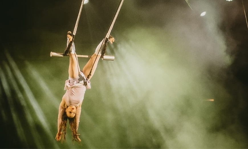 Image 3: Laissez-vous enchanter par la magie du Cirque Borsberg à Caen !