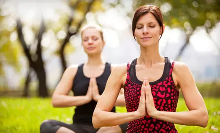 5, 10, or 20 Yoga Classes at The Still Point in Highland (Up to 78% Off) - Primary Image