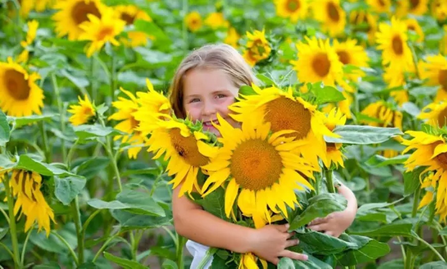 Image 8: Country Christmas at HarvestMoon Fun Farm - Holiday Family Fun