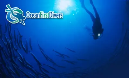 $10 for a Discover-Scuba Experience at Ocean First Divers in Boulder ($20 Value) - Primary Image
