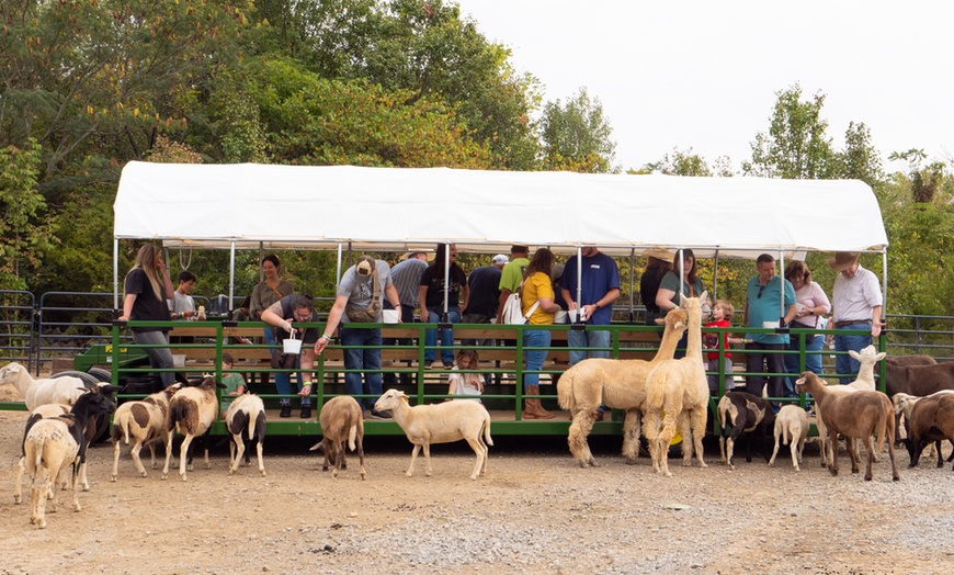 Image 2: Admission Tickets to Safari Tractor Hayride on 100-Acre Farm! 