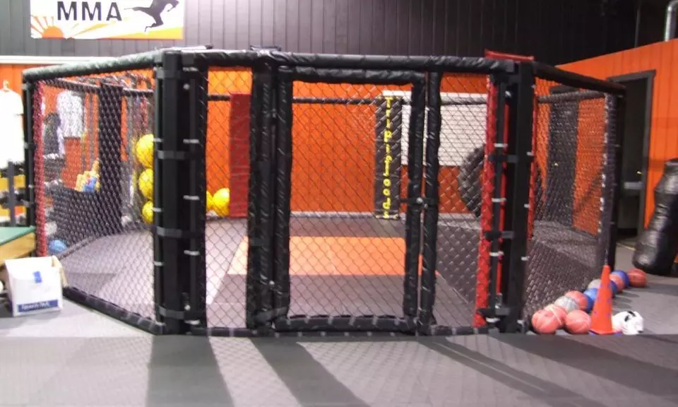 Four Weeks of Unlimited Martial Arts Classes at Southtowns Mma (50% Off) - Primary Image