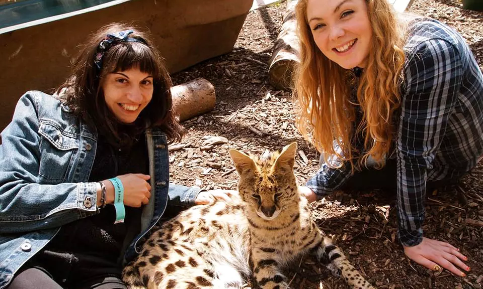 Meet Animals Up Close: Exotic Animal Experience for Two or Four