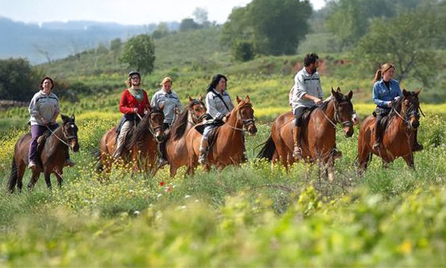 Image 1: Descubre la equitación con 6 clases de hípica para 1 o 2 personas