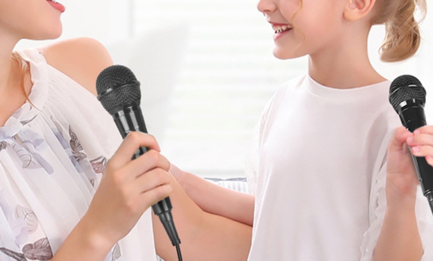 Image 2: 6.5mm Jack Dynamic Microphone