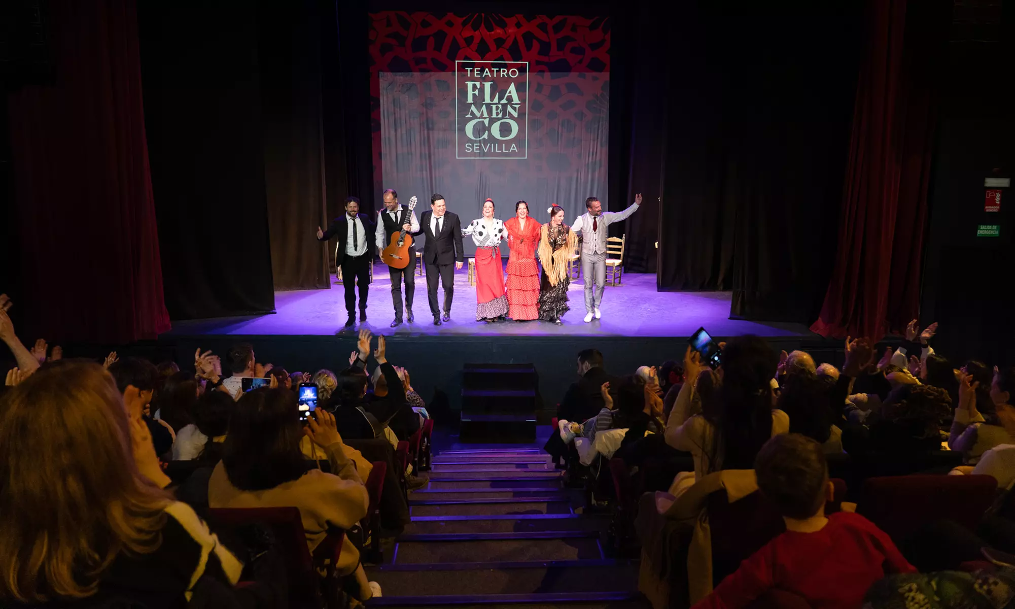 "Pasión": entrada para el show de flamenco en marzo en Sevilla