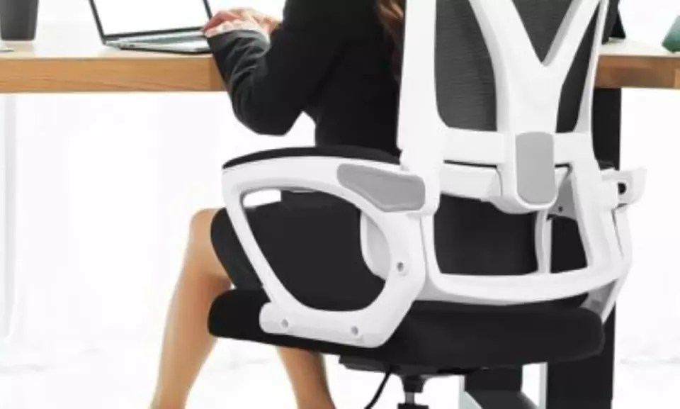Ergonomic Office Chair with Adjustable Back Support and Headrest