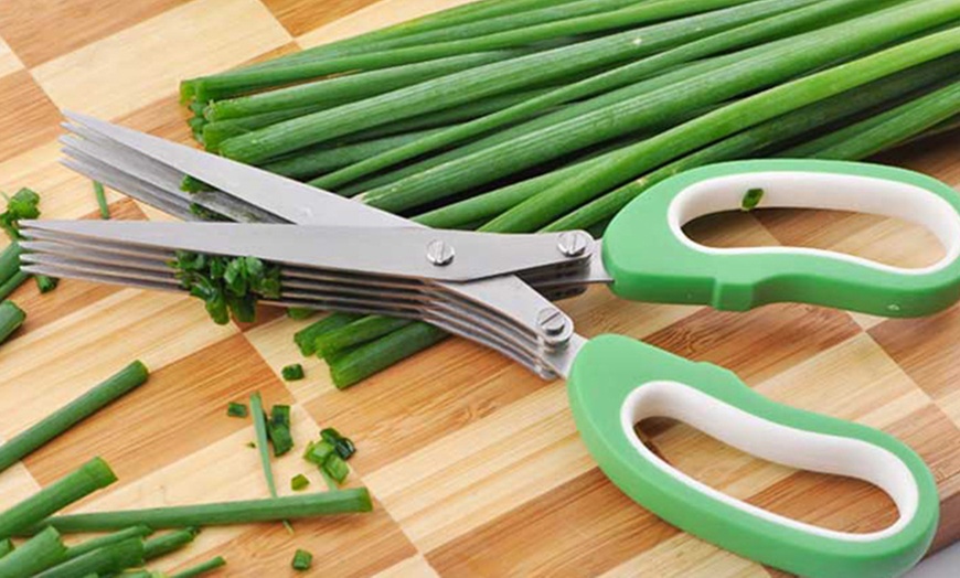 Image 1: Multi-Blade Herb Scissors