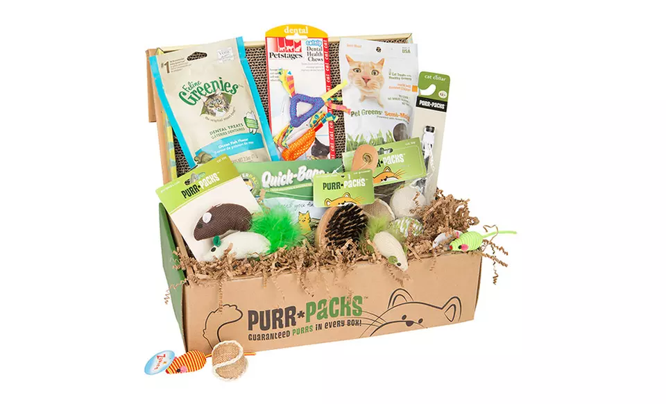 Purr-Pack of Cat Toys and Treats - Primary Image