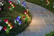 2 Pack Solar Garden Lights with Bigger Lily Flowers Color-Changing Outdoor Decor - Second Medium