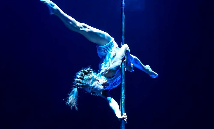 Image 10: Entrada oro o plata para niño o adulto al espectáculo "Viva el circo"