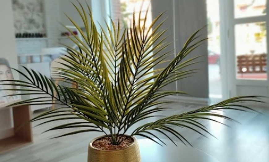 Image 8: Lifting y tinte de pestañas con opción a diseño de cejas y laminado