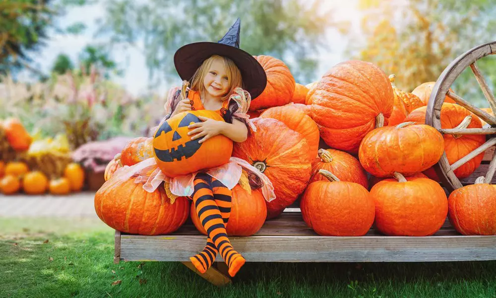 Adult, Child, or Family Pass Admission to Pumpkin Party (Up to 41% Off) - Primary Image