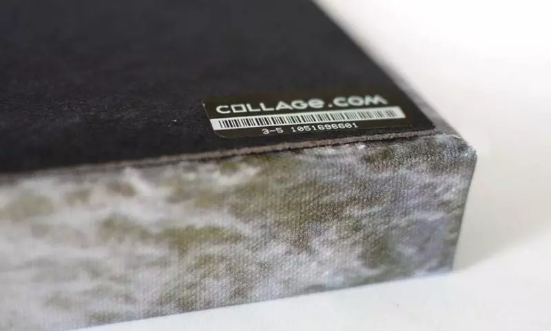 One, Two, Three, Four, Five, Six, Eight, or Ten 8x10" Custom Canvas Prints from Collage.com (Up to 92% Off) - Second Medium