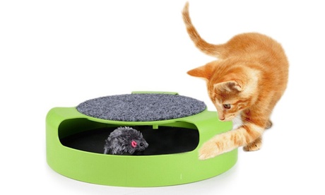 Gioco per gatti Acchiappa il topo a duplice funzione, con tiragraffi