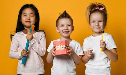Dental Exam, Xray, & Cleaning for One Child - Fun Valley Kids Dental Group