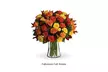 Fragrantly Fresh Fall Flower Bouquets from Blooms Today with Vase & Flower Delivery Included Up to 17% Off - Second Medium