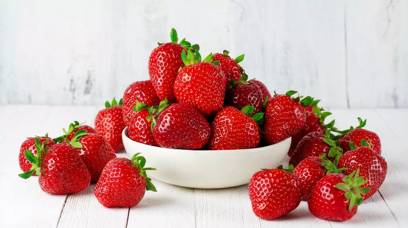 Strawberry All Season Collection - 20 or 40 Plants