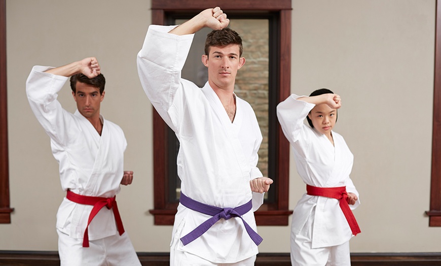 Image 1: 4-Week Unlimited Karate Classes