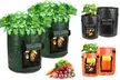 7/10 Gallon DIY Potato Grow Planter PE Cloth Planting Container Bag - Second Medium