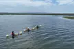 Crystal Clear Kayak 2 Hour Guided Tour - Second Medium