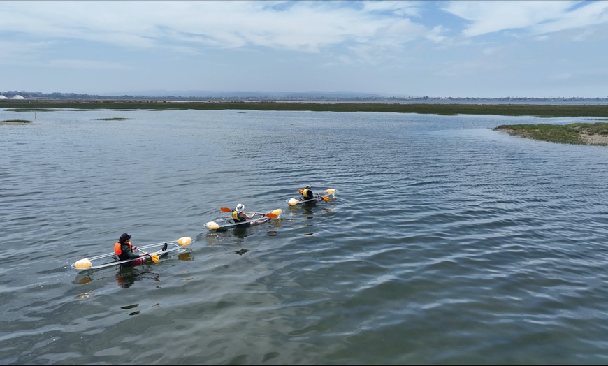 Image 3: Crystal Clear Kayak 2 Hour Guided Tour